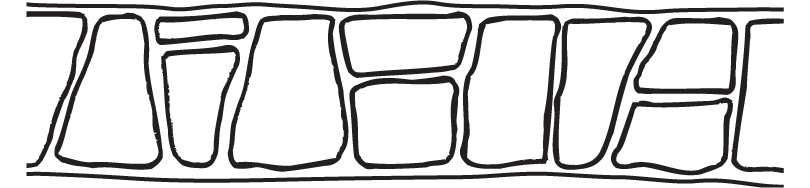 keystone-header.png
