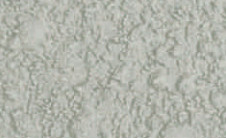 tex-bluegum.jpg