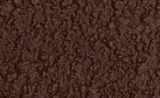 tex-brazil-nut.jpg