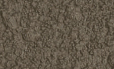 tex-chestnut.jpg