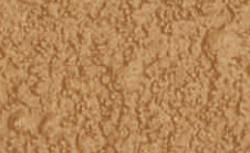 tex-desert.jpg
