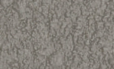 tex-grey.jpg
